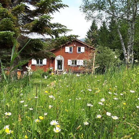Chalet Chic Вилдхаус Екстериор снимка